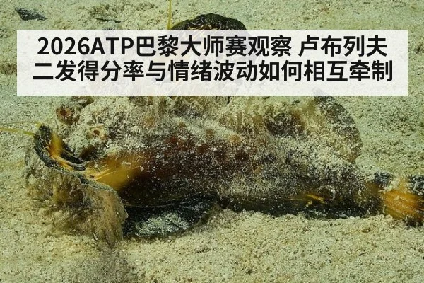 2026ATP巴黎大师赛观察 卢布列夫二发得分率与情绪波动如何相互牵制